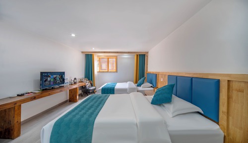 Basic Twin Room