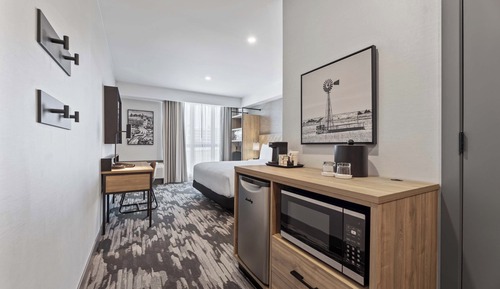 Room, 1 King Bed (Accessible)