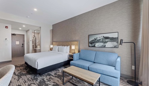 Standard Room, 1 King Bed with Sofa bed (Euro Bathroom)