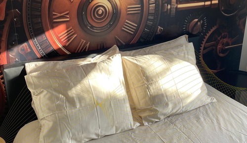 Deluxe Double Room, 1 Queen Bed, Non Smoking, Terrace