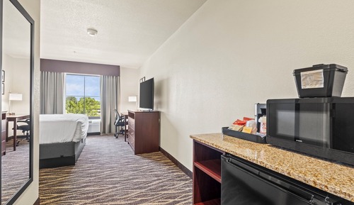 Room, 1 King Bed, Non Smoking (Guestroom, Audible/Visual alert)