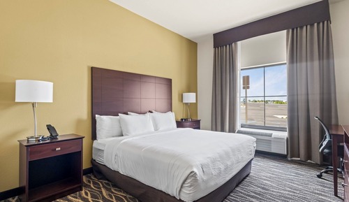 Room, 1 King Bed, Mobility Accessible, Non Smoking (Single, Guestroom)