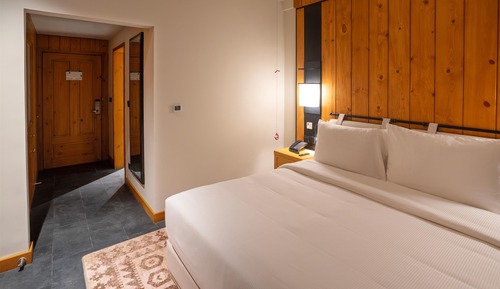 Room, 1 King Bed