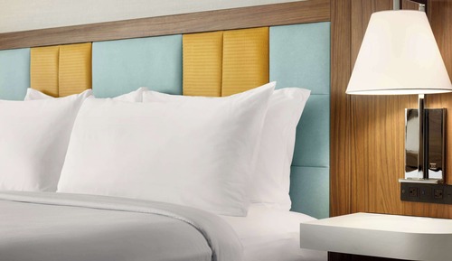 Room, 1 King Bed, Accessible, Ocean View (Roll-In Shower)