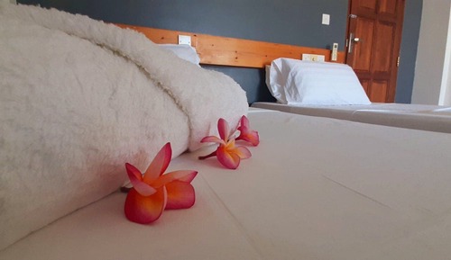 Deluxe Twin Room, Balcony, Garden View