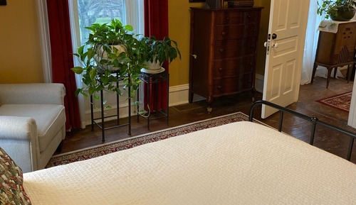 Deluxe Single Room, Garden View