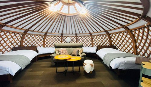 Basic Quadruple Room