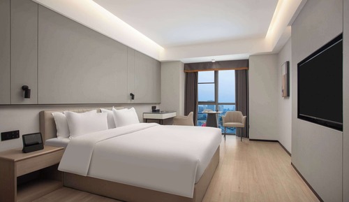 Business Room, 1 King Bed, Non Smoking
