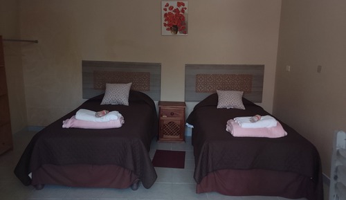 Basic Twin Room, Garden View