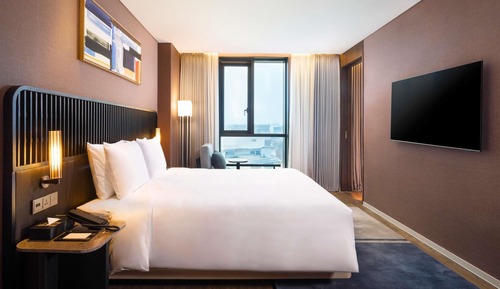 Executive Suite, 1 King Bed