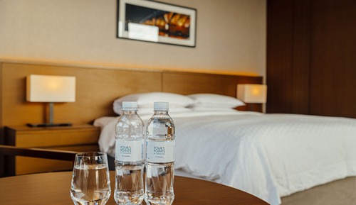 Room, 1 Double Bed