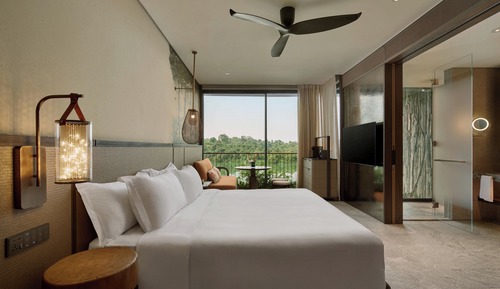 Room, 1 King Bed (Sanctuary)