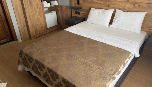 Standard Double or Twin Room, Mountain View