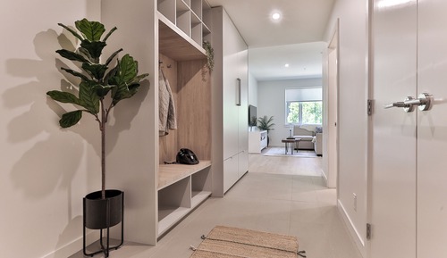 Basic Apartment