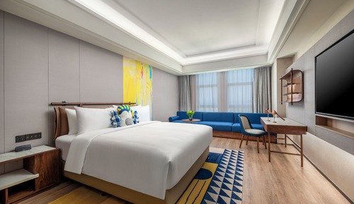 Standard Room, 1 King Bed, Accessible