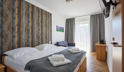 Comfort Double Room, 1 Queen Bed with Sofa bed, Balcony