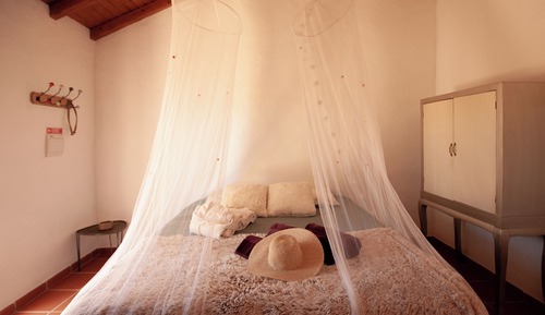 Classic Room, Mountain View