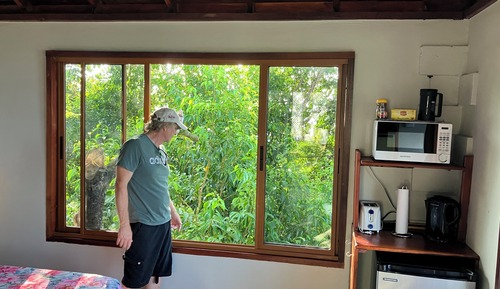 Romantic Cabin, Ocean View