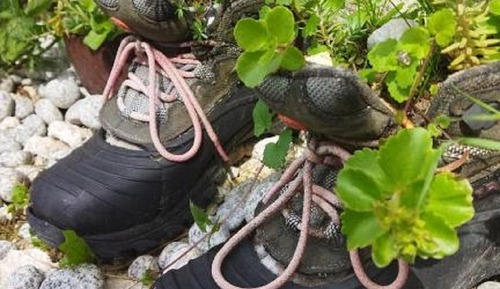 Traditional Shared Dormitory, Patio, Courtyard View