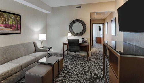 Deluxe Suite, 1 King Bed with Sofa bed, Accessible, Bathtub (2 Rooms, Hearing, HighFloor)