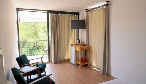 Deluxe Room, Mountain View