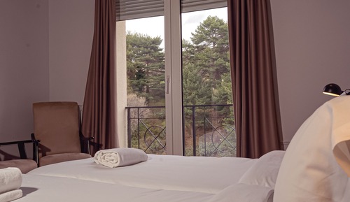 Standard Double Room, 1 Bedroom, Non Smoking