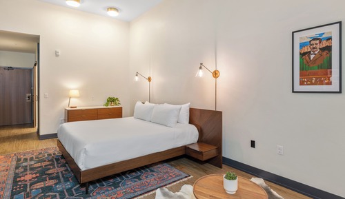 Basic Room, 1 King Bed with Sofa bed