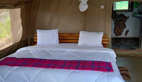 Executive Single Room, Balcony