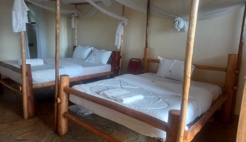 Executive Room, Balcony, Park View