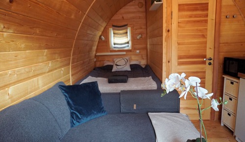 Economy Cabin