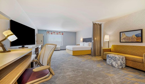 Suite, 1 King Bed, Accessible (Roll-In Shower)