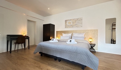 Superior Suite, Kitchen, Garden Area