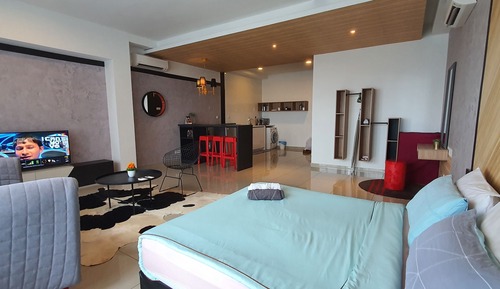 Panoramic Studio Suite
