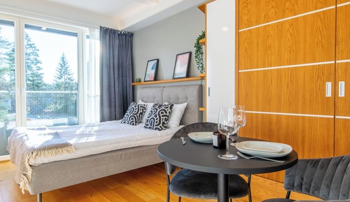 Medium Studio Apartment