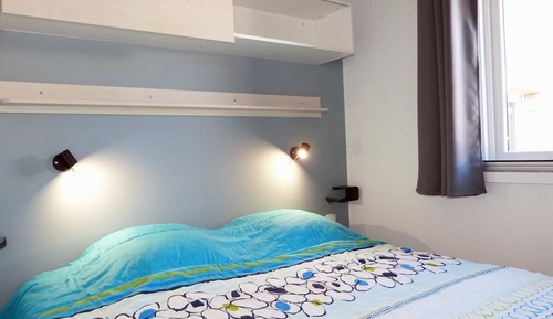 ARIZONA STANDARD 6 p