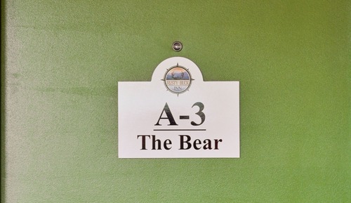 A3 The Bear