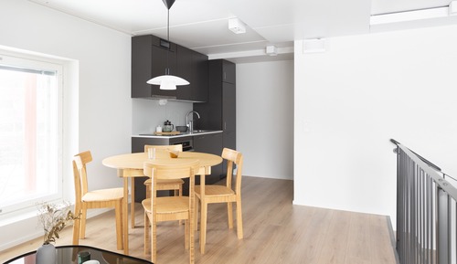 Large studio with loft