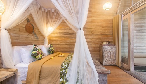 Deluxe room jungle view with hammock