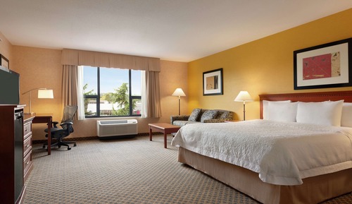 Room, 1 King Bed, Accessible, Non Smoking