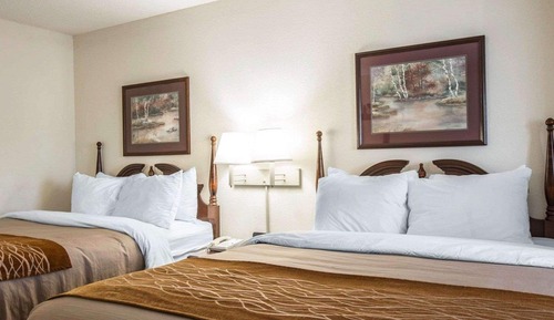 Standard Double Room, 2 Double Beds, Non Smoking