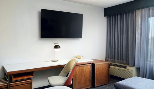 Room, 1 King Bed with Sofa bed, Non Smoking (Mobility Accessible, Roll-In Shower)