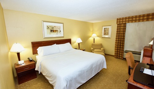 Suite, 1 King Bed