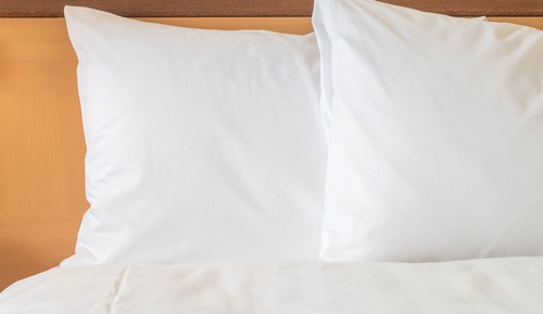 Standard Room, 1 Queen Bed, Accessible (Communications, Roll-In Shower)