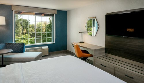 Suite, 1 King Bed with Sofa bed
