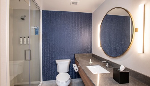 Room, 1 King Bed with Sofa bed, View