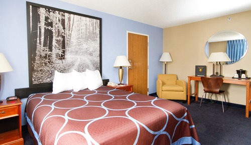 Standard Room, 1 Queen Bed, Accessible