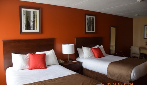 Suite, 2 Double Beds