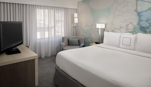 Room, 1 King Bed with Sofa bed