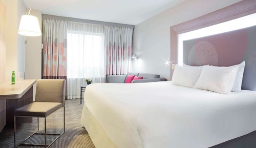 Room, 1 King Bed with Sofa bed