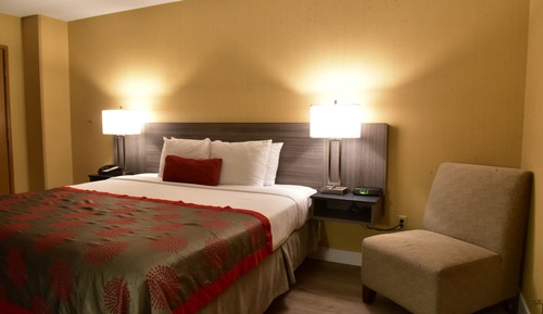 Room, 1 King Bed, Non Smoking, Bay View (Lower Floor)